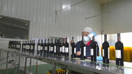 六十七團:延伸釀酒葡萄全產業&ldquo;鏈動&rdquo;區域經濟大發展