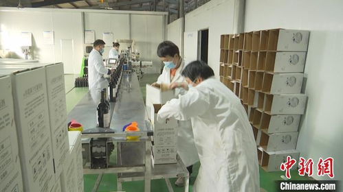 新疆昌吉葡萄酒企業(yè)忙 訂單 力爭(zhēng)實(shí)現(xiàn)首季 開(kāi)門(mén)紅