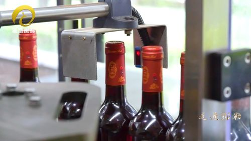 走進彌勒 走進彌勒的紅酒莊 醉在美酒與美景中