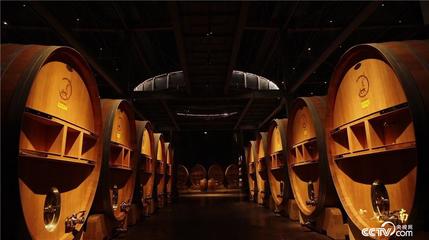 《探索&middot;發現》塞上江南:農業文明與工業文明和諧相處的宜居新寧夏