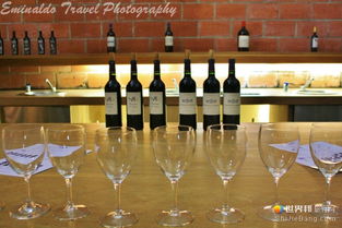 波爾多紅酒之魂 梅多克產(chǎn)區(qū)的葡萄酒銷(xiāo)售與市場(chǎng)魅力